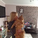 ���� ����, ������ - ��������� 22 ������� 2014 � ������ ���� ����������