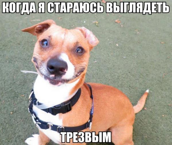 ������� ��������� - 24 �������� 2014 � 13:39