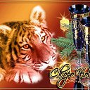 ���� ������, ������, 48 ��� - ��������� 30 ������� 2014 � ������ �....�