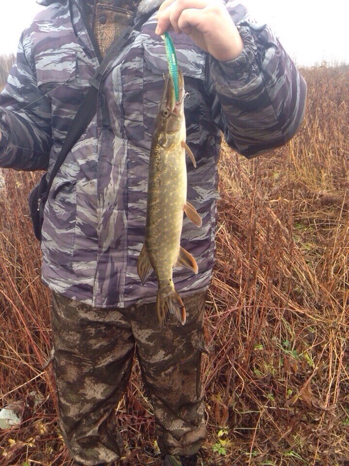 ����� ������� - 10 ������ 2014 � 13:21