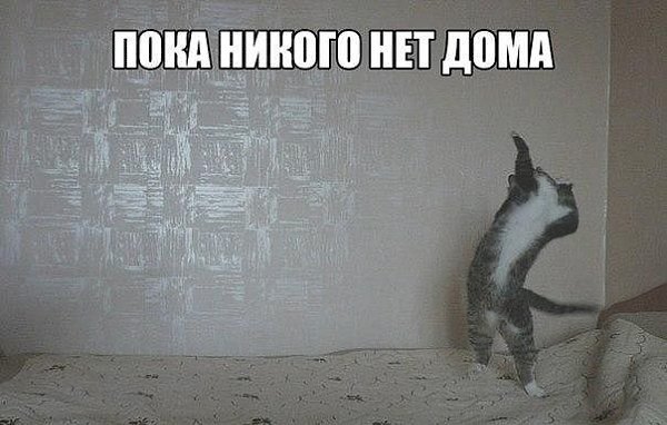 �������� - 30 ������ 2014 � 14:01