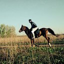 ���� ������, ������, 37 ��� - ��������� 13 �������� 2014 � ������ ���� ����������