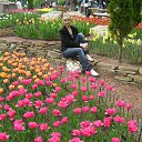 ���� ��������, ����, 50 ��� - ��������� 29 �������� 2014