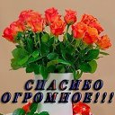 ���� ������, �����-���������, 52 ���� - ��������� 4 �������� 2014 � ������ ������ ��������