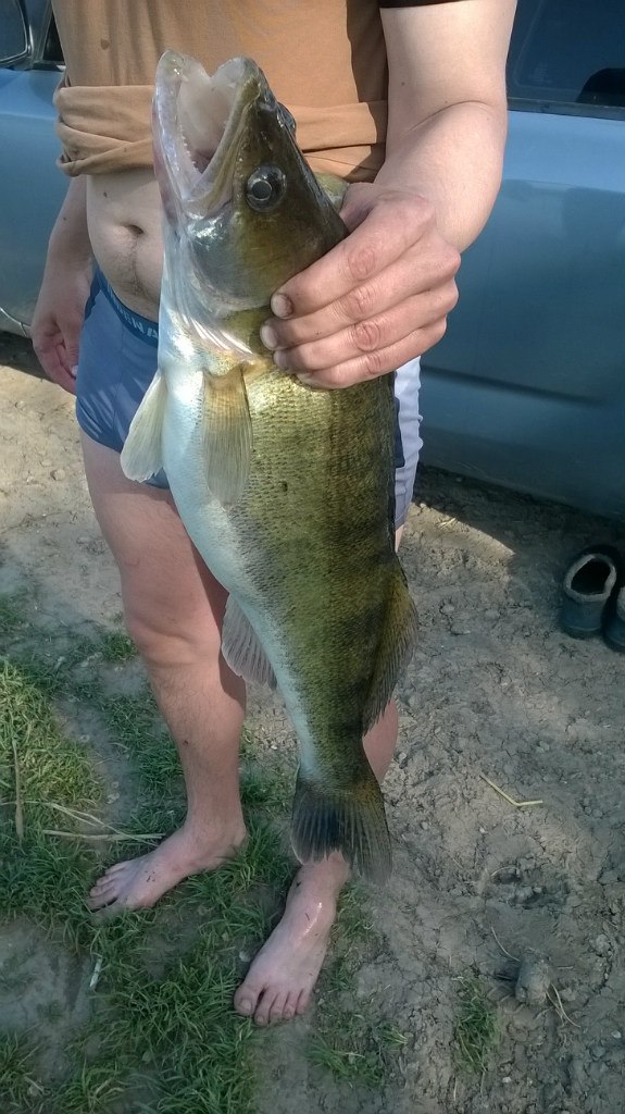 ����� ������� - 9 ������ 2014 � 17:57