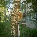 ���� �����, �������� - ��������� 1 ������� 2014 � ������ ���� ����������