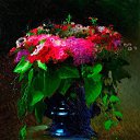 ���� �������, �����, 35 ��� - ��������� 30 ������� 2014 � ������ ������ ��������