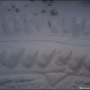 ���� N..., ����, 47 ��� - ��������� 29 �������� 2014 � ������ �������FF�