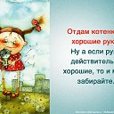 ���� �������, ���������, 46 ��� - ��������� 19 ������ 2014 � ������ ������ ��������