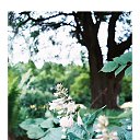 ���� ����, �����, 56 ��� - ��������� 30 ������ 2014 � ������ ���� ����������