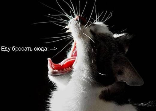 �����������, ���� �����������!!! fotostrana.ru/public/237440/?