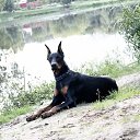 ���� �����, �����������, 28 ��� - ��������� 10 ������� 2014 � ������ ������ ��������