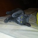 ���� �������, ���������, 39 ��� - ��������� 28 ������� 2014 � ������ ���� ����������