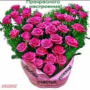 ���� Habib, ������, 54 ���� - ��������� 14 ������ 2014 � ������ ���� ����������