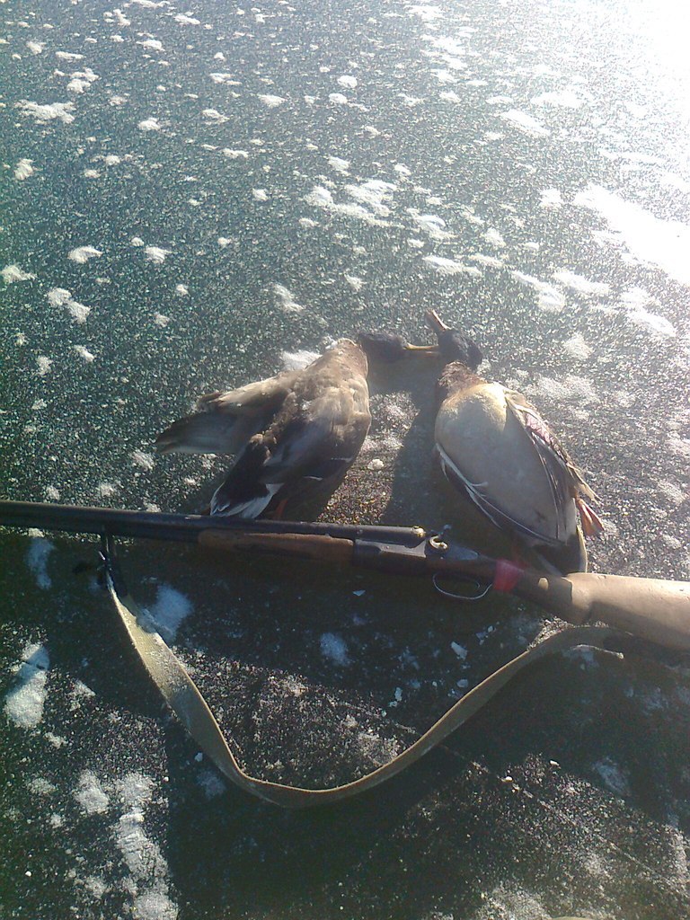 ����� ������� - 5 ������ 2014 � 14:04 - 3