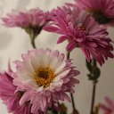 ���� ���������, ����� - ��������� 20 ������� 2014 � ������ ���� ����������