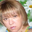 ������ ����