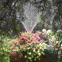 ���� �������, �������, 62 ���� - ��������� 27 ������� 2014 � ������ ���� ����������