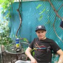 ���� ����, ������� - ��������� 24 ������� 2014 � ������ ���� ����������