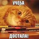 ���� ������, ������� - ��������� 23 ������ 2014 � ������ ���� ����������