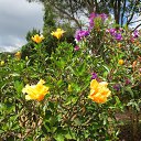 ��������� ���� �� ������� ����� ������ � ������ (�������)�