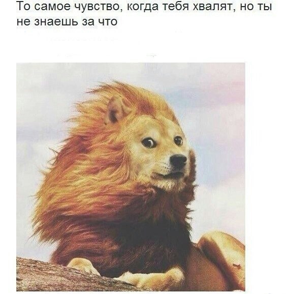 �������� ������� - 2 �������� 2014 � 18:32