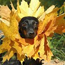 ���� �����, ����� - ��������� 16 ������� 2014 � ������ ������