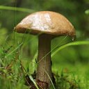 ���� �����, �����-��������� - ��������� 28 ������� 2014 � ������ �������� ����� 2014�