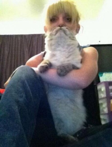 Cat beard ( ) - 6