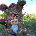 � ����� ������ 2014 ���. �� ������� ���� ����������