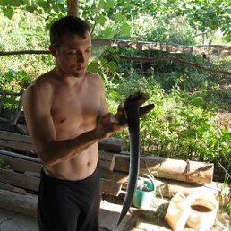 �������, ������, 44 ����