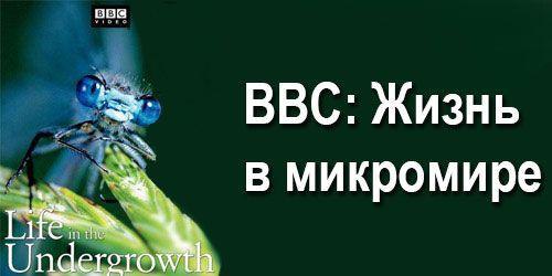 Ббс жизнь в микромире один часть. Жизнь в микромире смотреть.