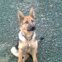 ���� ������, �����, 57 ��� - ��������� 8 ������� 2014