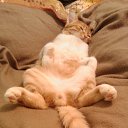 ���� ������, ������, 55 ��� - ��������� 7 ������� 2014