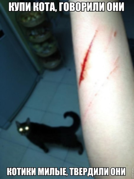 Art & Fun - 7 ������ 2014 � 05:33