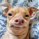  , -, 55  -  26  2014    