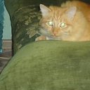 ���� ����, ���������, 62 ���� - ��������� 23 �������� 2014 � ������ ���� ����������