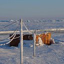 ���� �����, ������, 46 ��� - ��������� 25 ������ 2014 � ������ ������ ��� �����