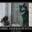 ���� ���������, ���������, 33 ���� - ��������� 15 ������� 2014 � ������ ������ ��������