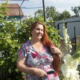 ����, ���������, 78 ���