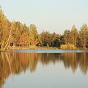 ���� ������, ������������, 43 ���� - ��������� 12 �������� 2014 � ������ ���� ����������