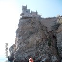 ���� �����, ��������, 44 ���� - ��������� 31 ������� 2014 � ������ �������