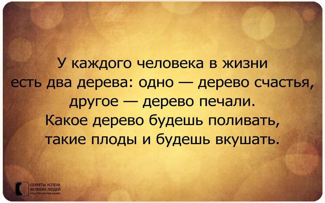     - 13  2014  13:56