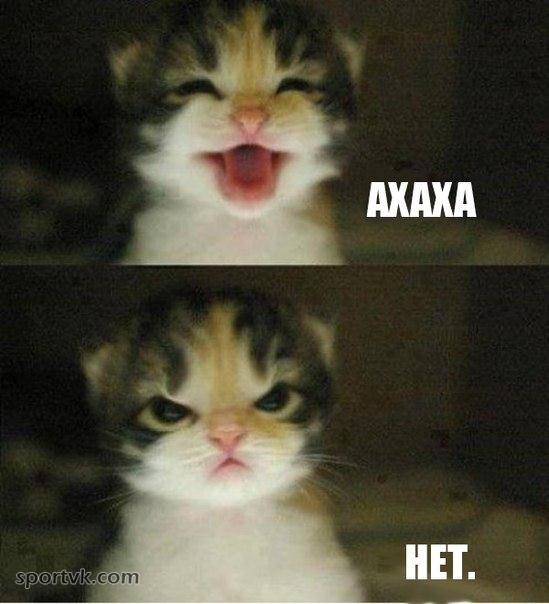 ����� ���� ������� - 