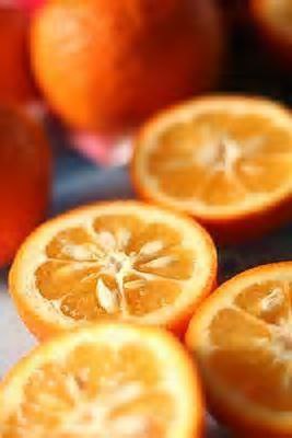    ,   ,   .        ... - 3