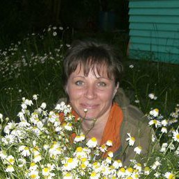 ����, �����-���������