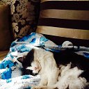  Firdavs, , 39  -  3  2014    