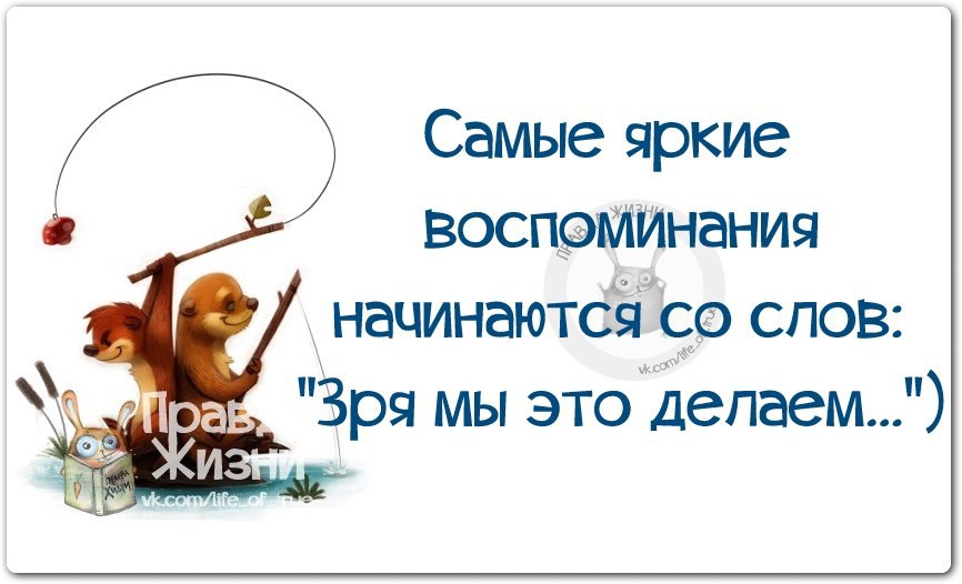 Интересное начинается. Смешные цитаты о приключениях. О приключениях фразы смешные. Фразы о приключениях. Цитаты про приключения.