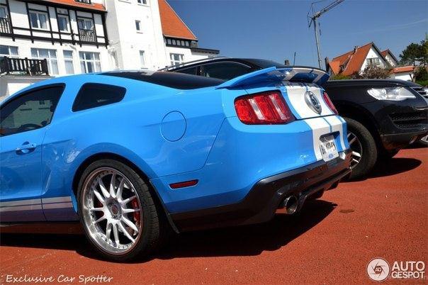 Shelby GT500, 2011. - 8