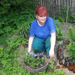 ���� �������, ������� ��������, 58 ��� - ��������� 31 ������� 2014